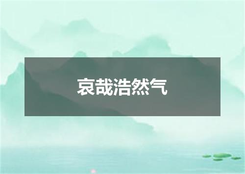 哀哉浩然气