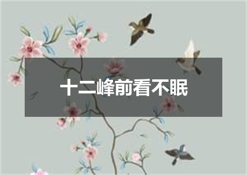 十二峰前看不眠