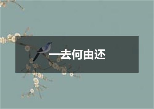 一去何由还