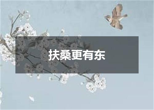 扶桑更有东