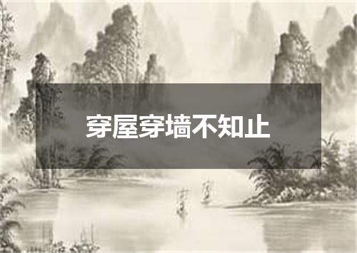 穿屋穿墙不知止