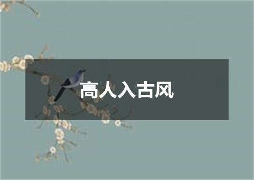 高人入古风