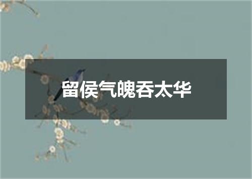 留侯气魄吞太华