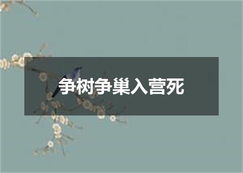 争树争巢入营死