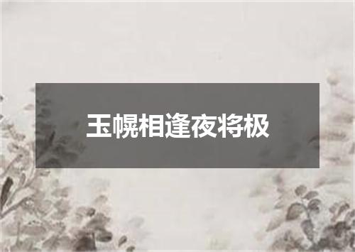 玉幌相逢夜将极