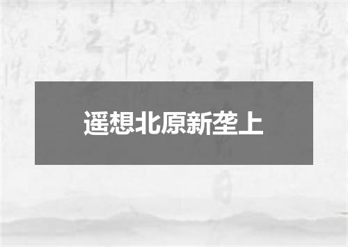 遥想北原新垄上