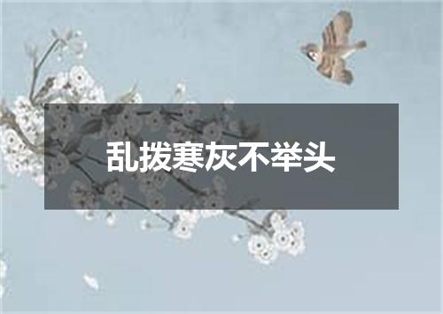 乱拨寒灰不举头