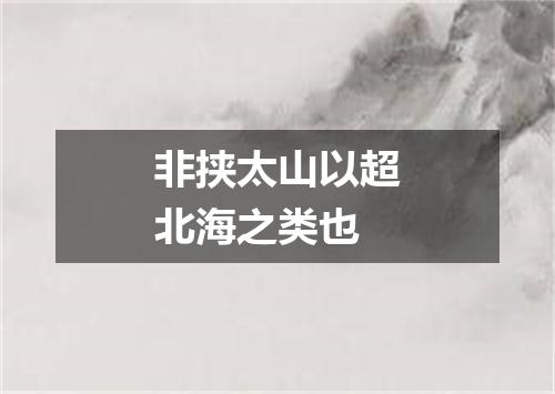非挟太山以超北海之类也