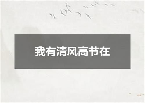 我有清风高节在