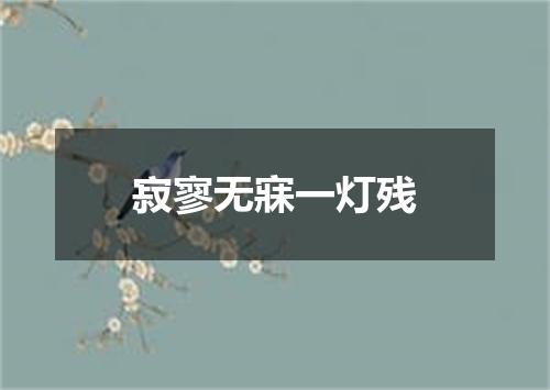 寂寥无寐一灯残