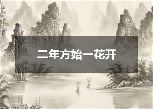 二年方始一花开