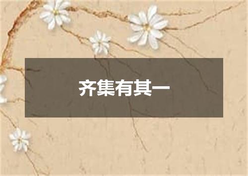 齐集有其一