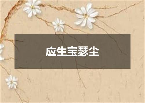 应生宝瑟尘