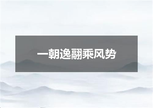 一朝逸翮乘风势