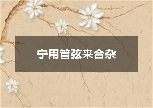 宁用管弦来合杂