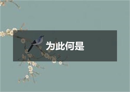 为此何是