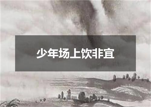 少年场上饮非宜
