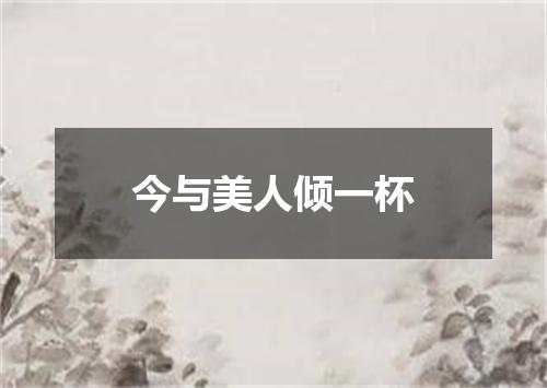 今与美人倾一杯