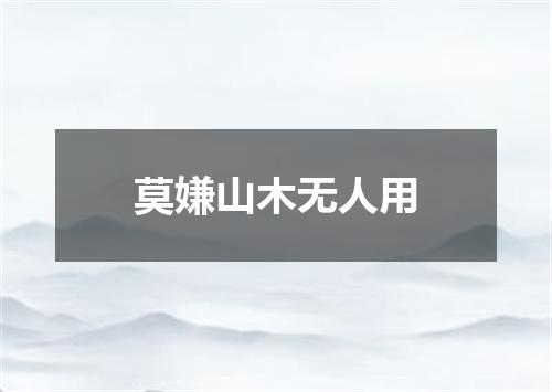 莫嫌山木无人用
