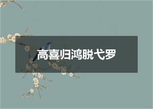高喜归鸿脱弋罗