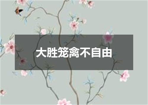 大胜笼禽不自由