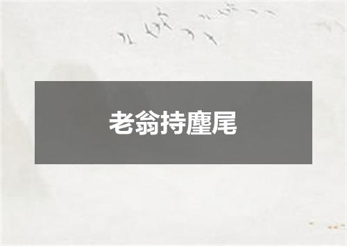 老翁持麈尾