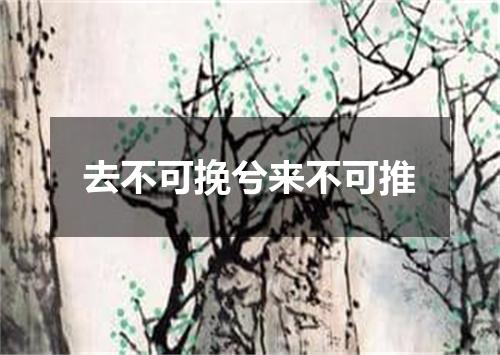去不可挽兮来不可推