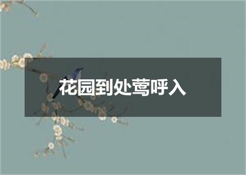 花园到处莺呼入