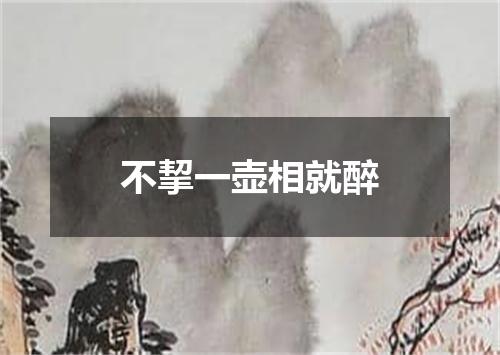 不挈一壶相就醉