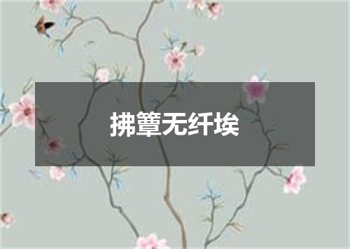 拂簟无纤埃