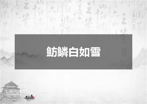 鲂鳞白如雪