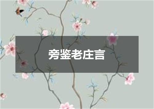 旁鉴老庄言
