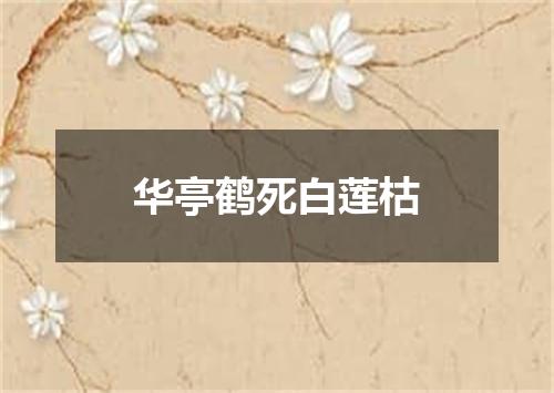 华亭鹤死白莲枯