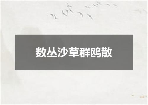 数丛沙草群鸥散