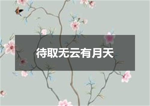 待取无云有月天