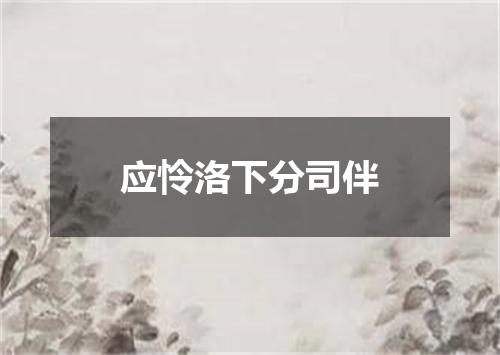 应怜洛下分司伴