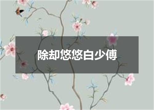 除却悠悠白少傅