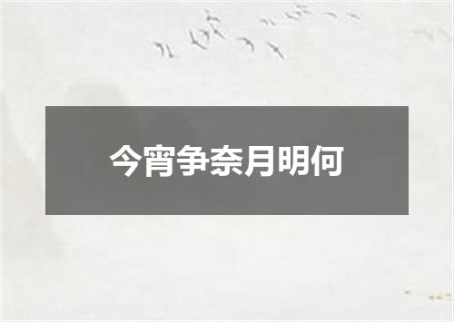 今宵争奈月明何
