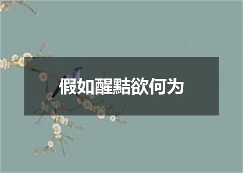 假如醒黠欲何为