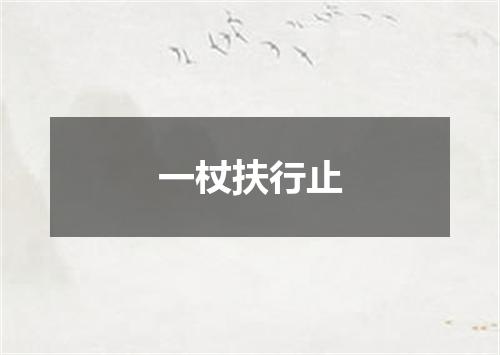一杖扶行止