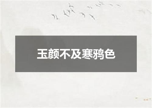 玉颜不及寒鸦色