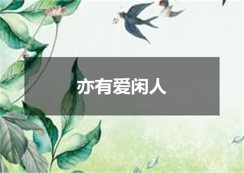 亦有爱闲人