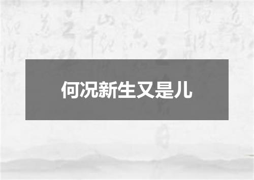 何况新生又是儿