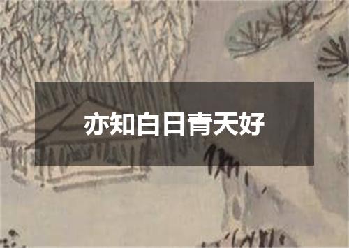 亦知白日青天好