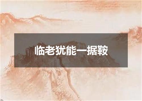 临老犹能一据鞍