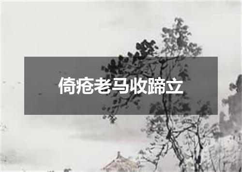 倚疮老马收蹄立