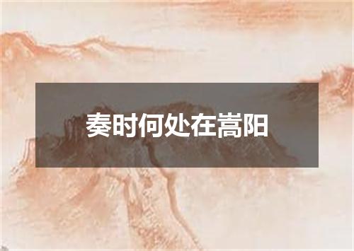奏时何处在嵩阳