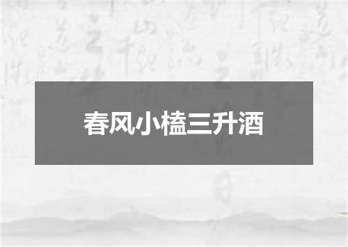春风小榼三升酒