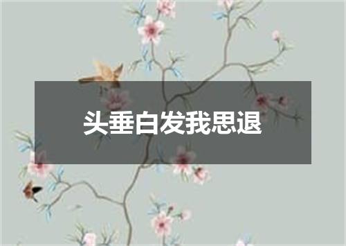 头垂白发我思退