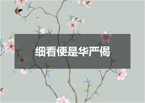 细看便是华严偈